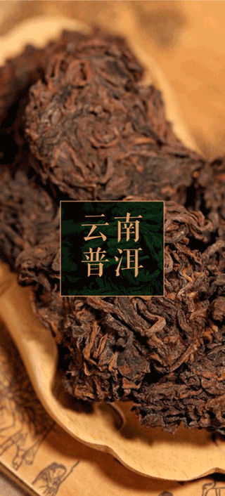 云南普洱茶树专用生物有机肥